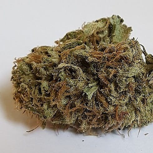 JAGER