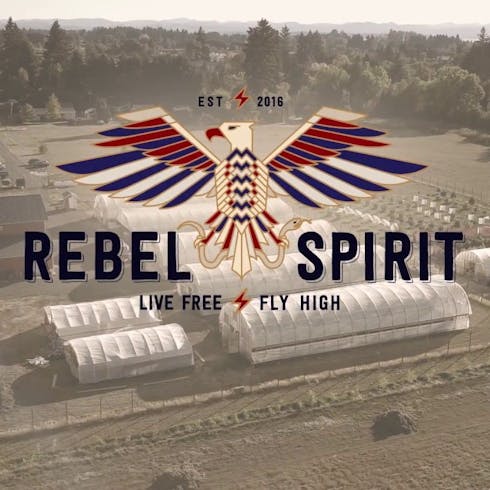 Skywalker Kush | Rebel Spirit