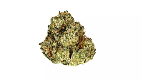 Rocket Fuel