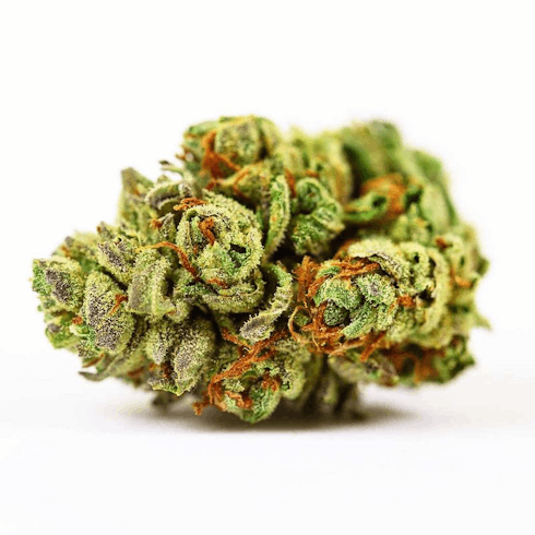 (Top Tier) - Bubble Gum Chem
