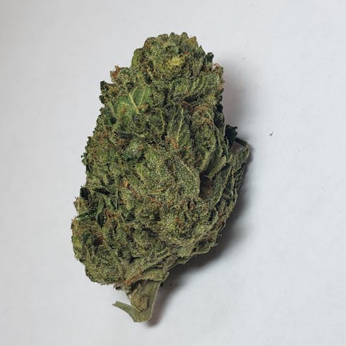 Dawg Cookies