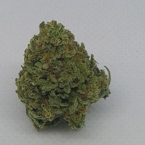 Gelato THC 25.45%