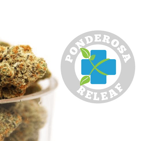 Golden Lemons - Mid Shelf