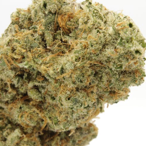 LEMON MERINGUE | AVITAS