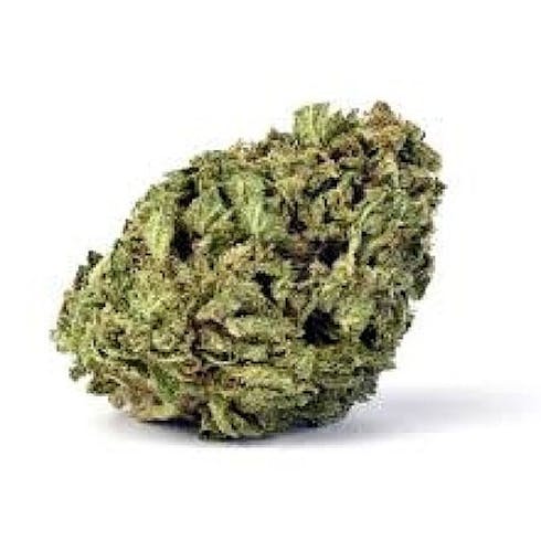 Cookie Breath 1/8th by Talking Trees 3.5g