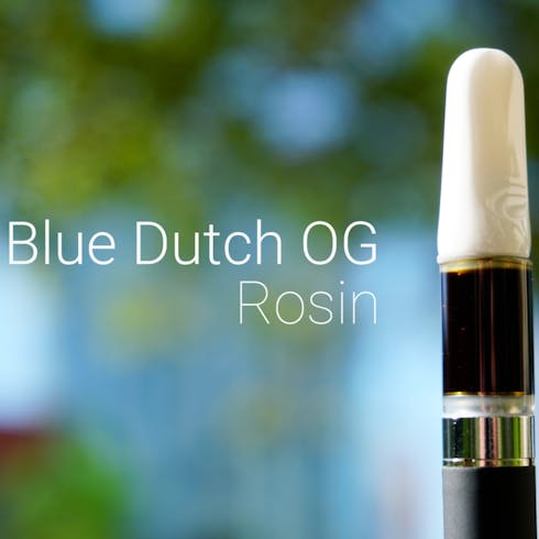Blue Dutch OG (Blue Dream x Hawaiian Dutch x Maui OG) Rosin Cartridge