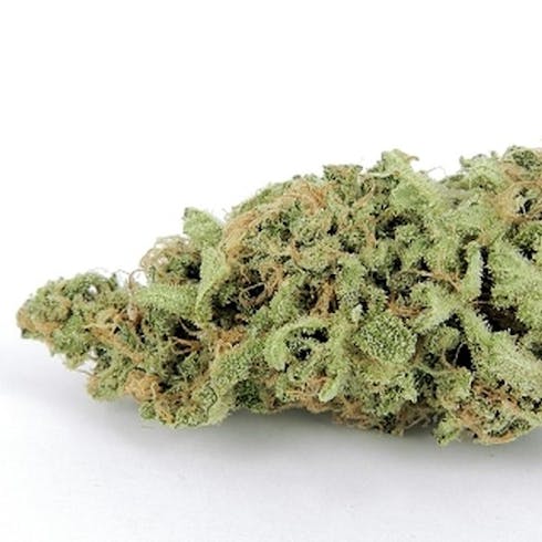 MANGO KUSH (50%/50%) I/H
