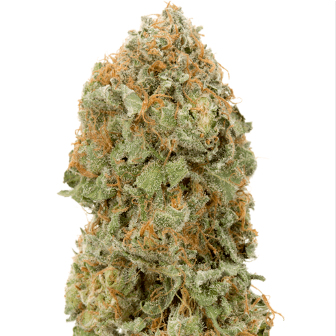 Strawberry Kush