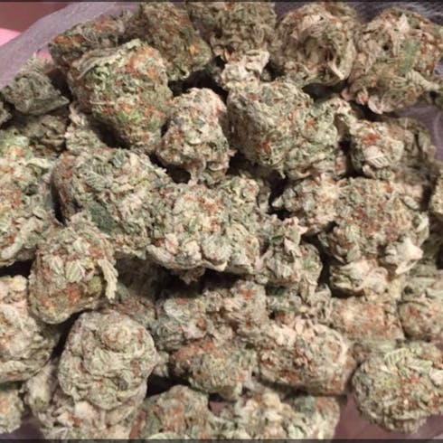 Black Berry Punch X Jelly Breath