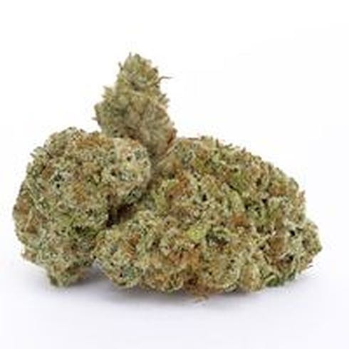 SIRA Echo CBD (MEDICAL)