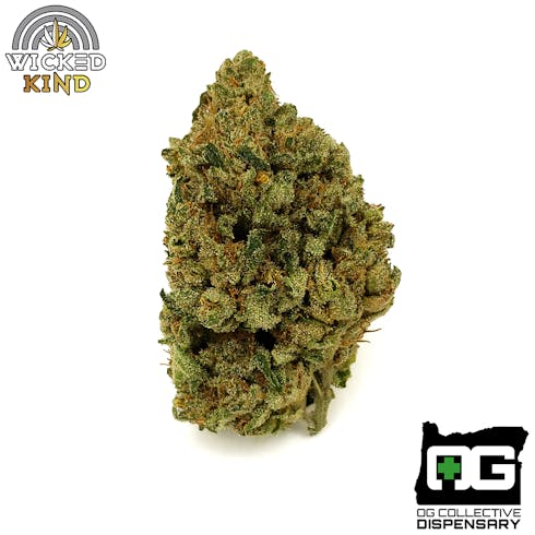 SNEEZE from WICKED KIND