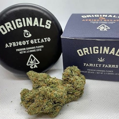 Apricot Gelato