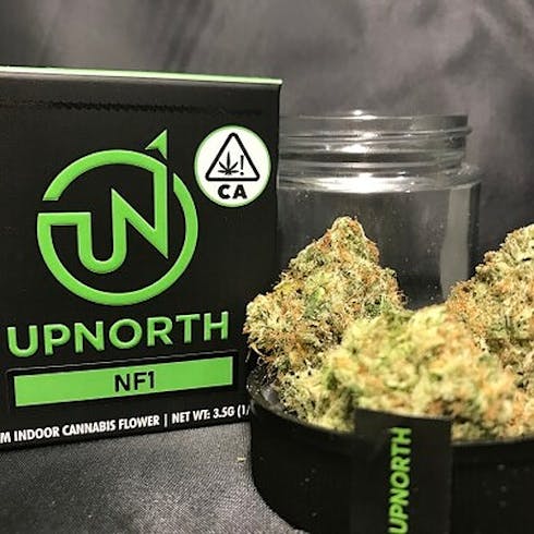 NF1 by Up North Humboldt