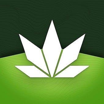 The Wellness Joint