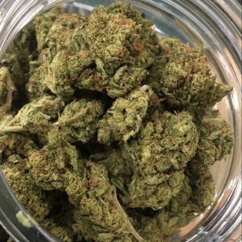 $160oz- Golden Pineapple (Lovelife Farms)