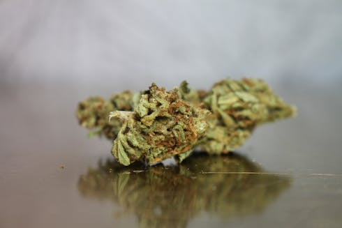 Quah Farms OG Cookies Bulk