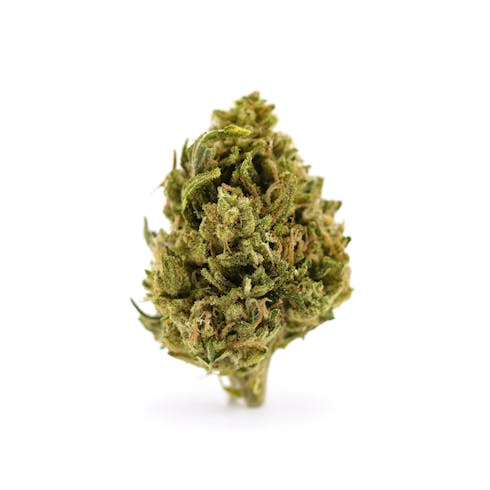 Huckleberry Diesel by Cannabis Nation