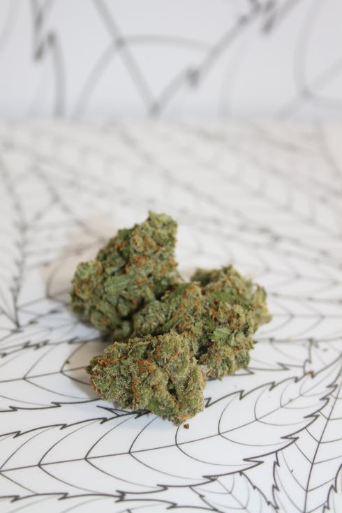 Heartland Farms XJ13 Bulk