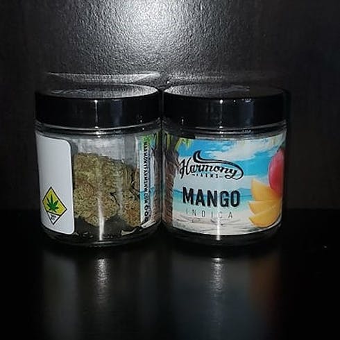 Mango - Harmony Farms