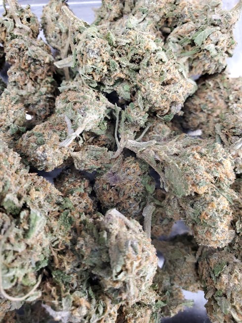 Poison OG (Tax Included)