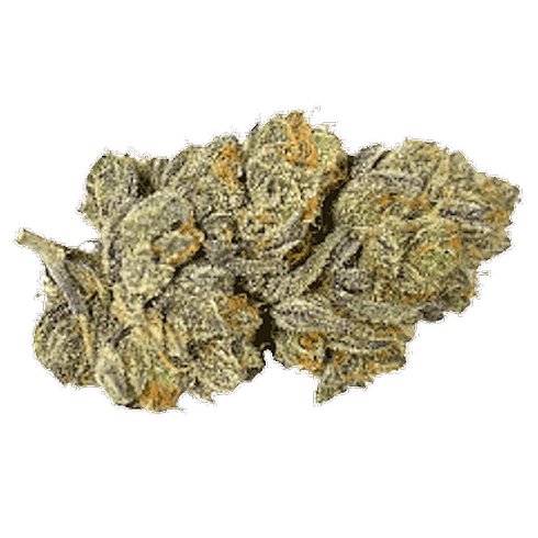 White Buffalo by Fade Co