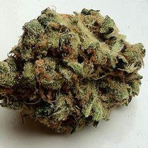 Mango Haze CBD