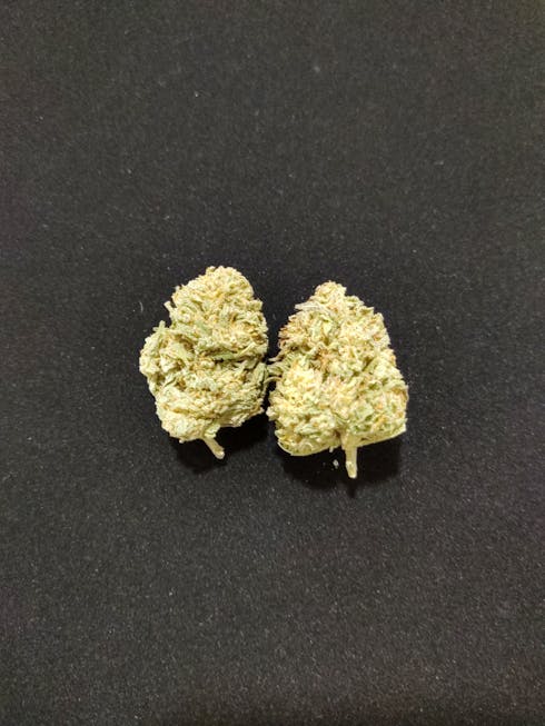 Obama Kush
