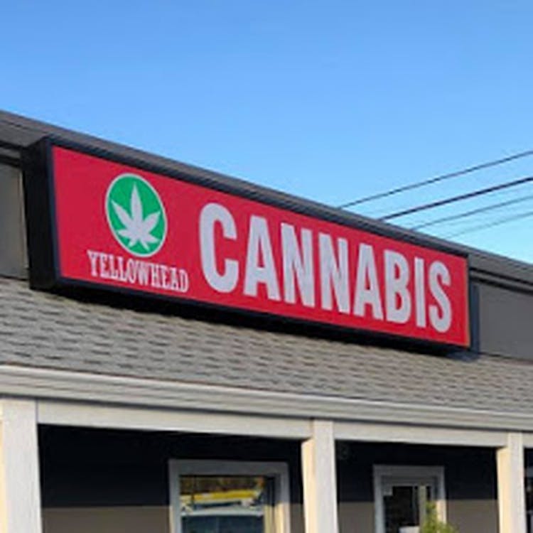 Yellowhead Cannabis