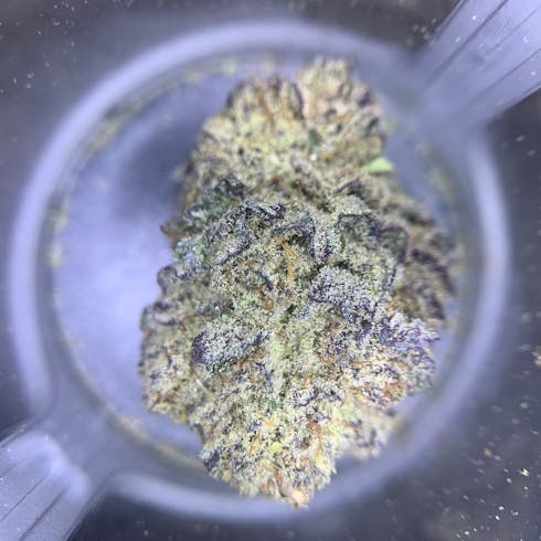 GSC