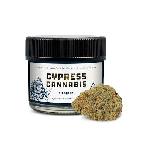Purple Punch