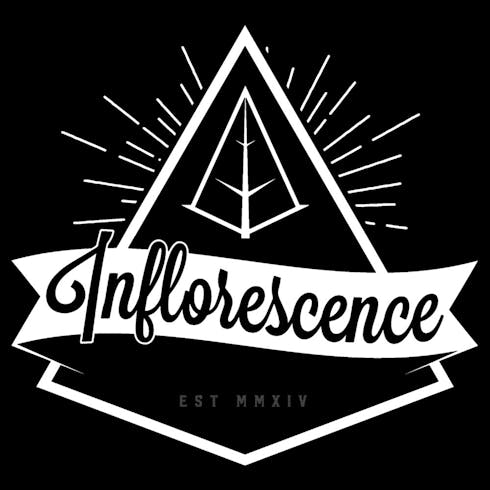 Inflorescence - Peach Sorbet