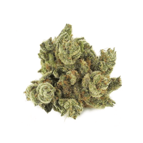 Calm | Indica