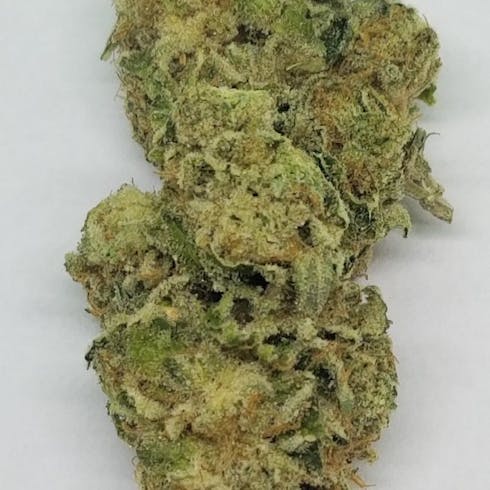 Canuk Cookies