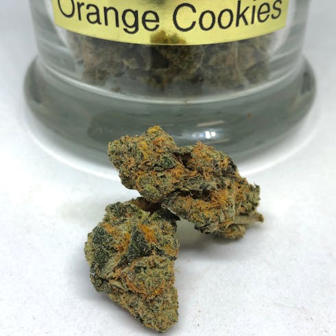 Orange Cookie