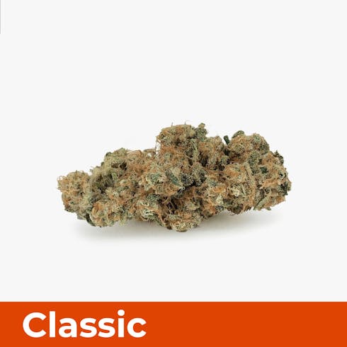 CBD Critical Mass