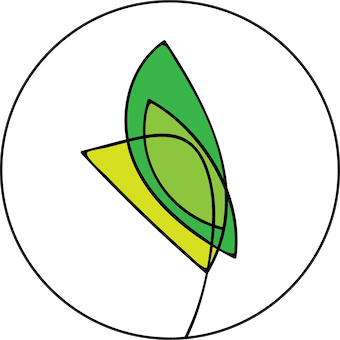 Stem Haverhill
