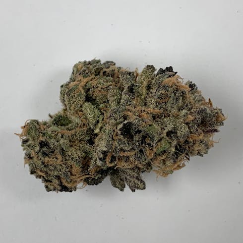 DIGITAL COOKIES