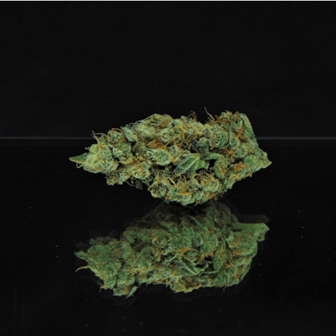 Alien Rock (Sour Dubble x Tahoe Alien) * Indica Dominant Hyrbid