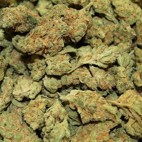 Silver Mountain by Bonsai