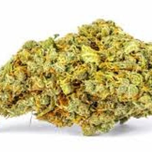 Super Lemon Haze | Cannabis Nation