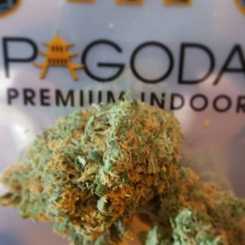 Wifi OG