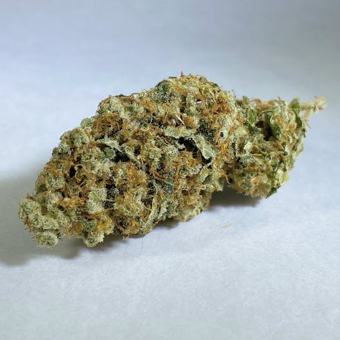 NYC Diesel