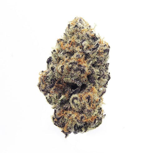 Purple Punch | Cannabis Nation