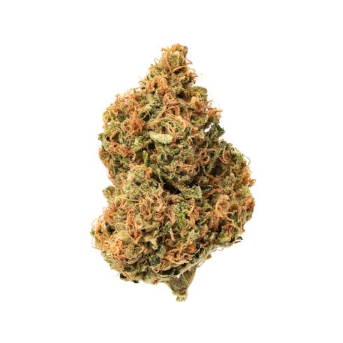 Golden Goat