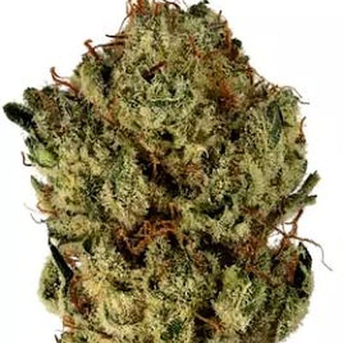Truth Serum (Hs) | 8|Fold