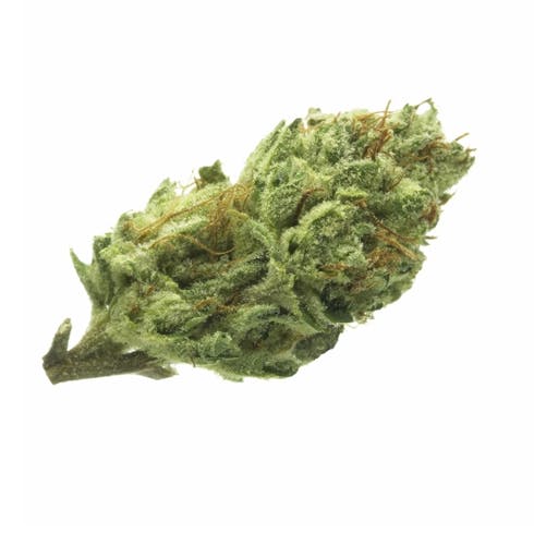 Purple Punch