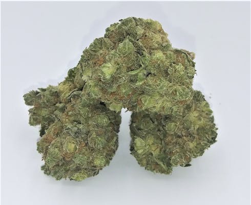 Pineapple Skunk | Grown by Cannabis Nation | OMMP