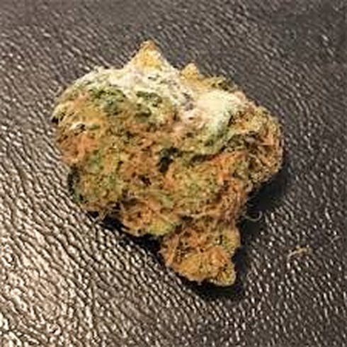GOLDEN GOAT