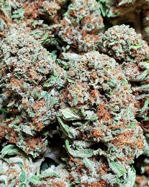 Blue Cheese