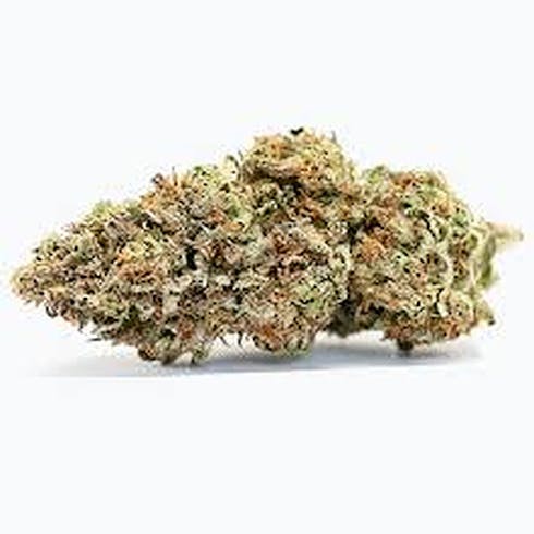 REC: Kiwi Banana - Phantom Farms